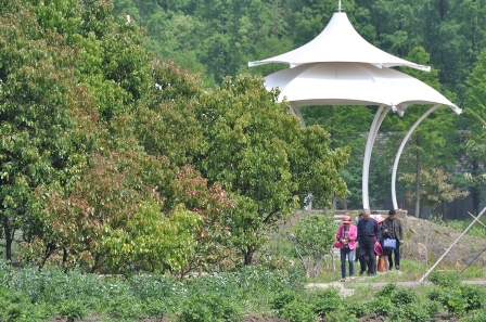 【秦山书市】启：关于首届“秦山书市”活动安排的调整