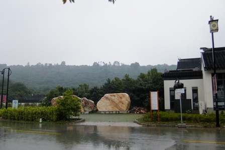 启事_明前碧螺春直供