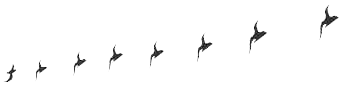 鸟